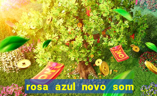 rosa azul novo som letra rosa azul novo som